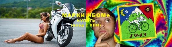 гашик Семилуки