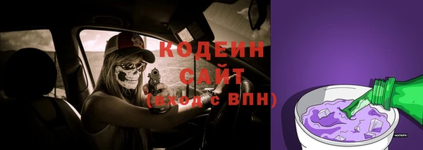 шишки Сатка