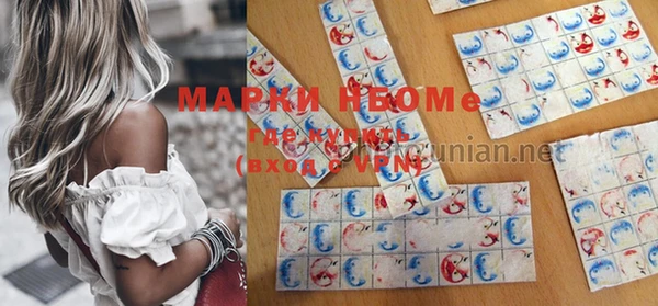 гашик Семилуки