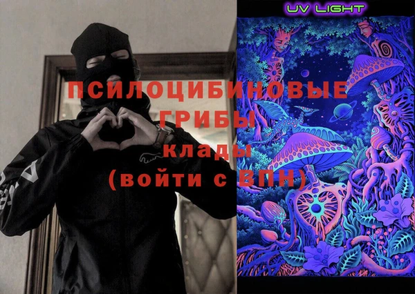 гашик Семилуки