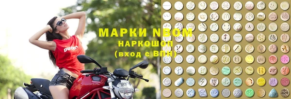 гашик Семилуки